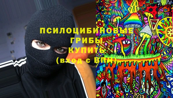 таблы Козловка