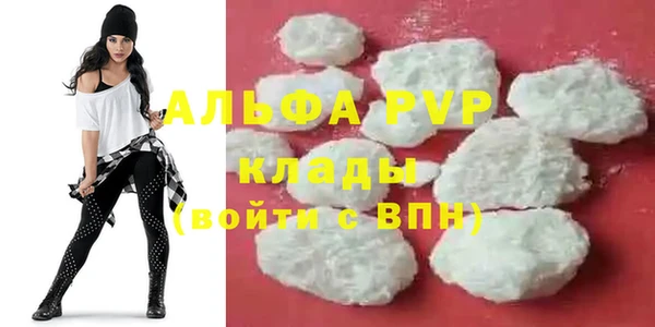 индика Киреевск