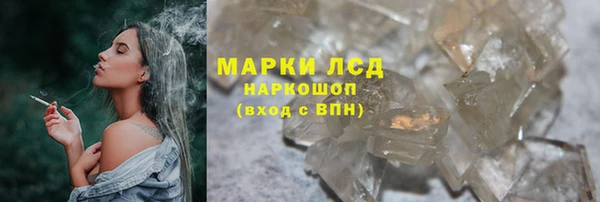 индика Киреевск