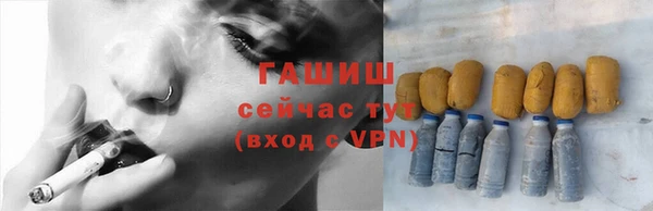 индика Киреевск