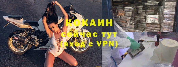индика Киреевск