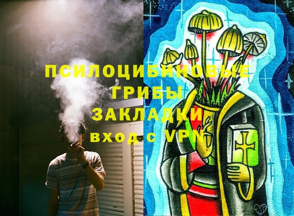 сатива Карталы