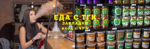 индика Киреевск
