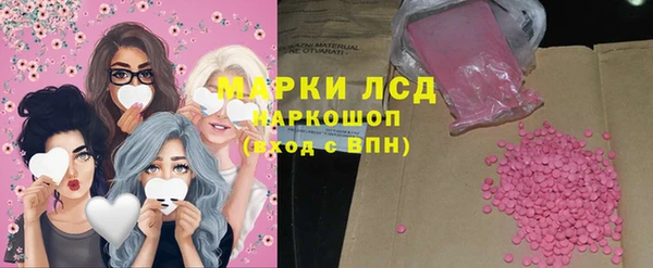 индика Киреевск