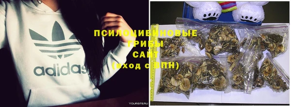 таблы Козловка