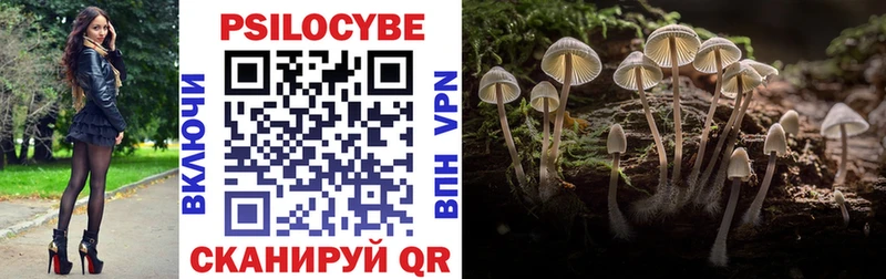 Галлюциногенные грибы Cubensis  Краснозаводск 